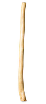 Medium Size Natural Finish Didgeridoo (TW1588)